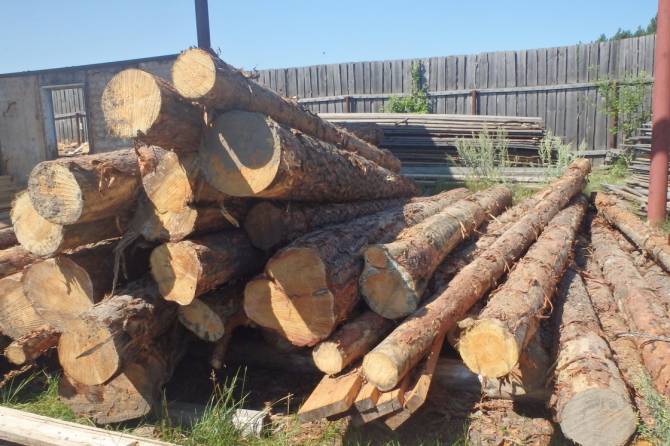 В Жирятино «древесный» бизнесмен погорел на многочисленных нарушениях