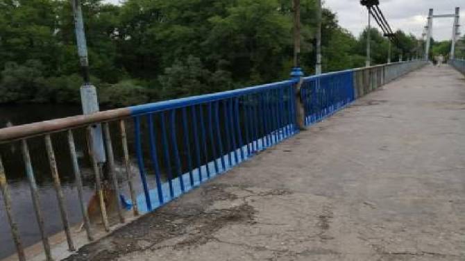 В Брянске красящего Голубой мост активиста упрекнули в поспешности