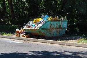 В Брянске на улице Федюнинского разгорелся скандал из-за мусорного контейнера