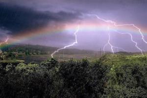 Ливни с ураганным ветром и градом продолжатся на Брянщине в воскресенье