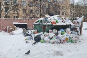 Брянцев призвали сообщать о мусорном коллапсе в новогодние праздники