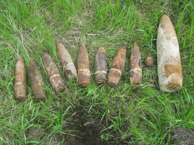 В Комаричском районе нашли 8 противопехотных гранат