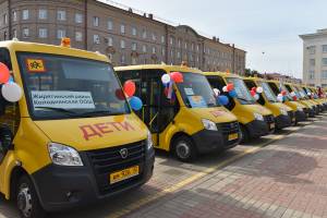 В Брянскую область поступят 49 школьных автобусов