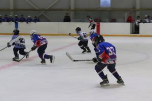 На Брянщине турнир «Золотая шайба» выиграли юные хоккеисты из Климово