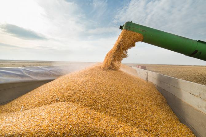 Брянщина значительно увеличила экспорт зерна