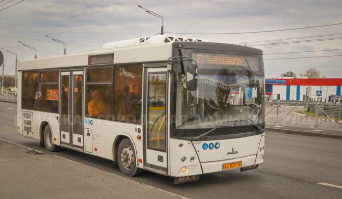 В Брянске стоимость проезд в общественном транспорте повышают до 45 рублей