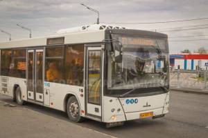 В Брянске стоимость проезд в общественном транспорте повышают до 45 рублей