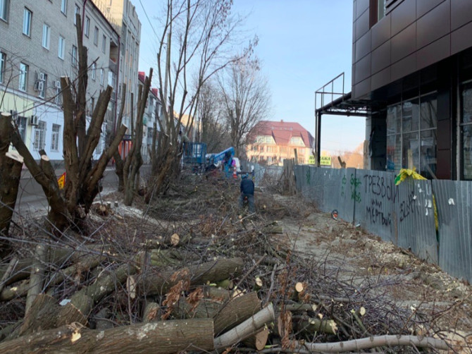 В центре Брянска варварски вырубили деревья