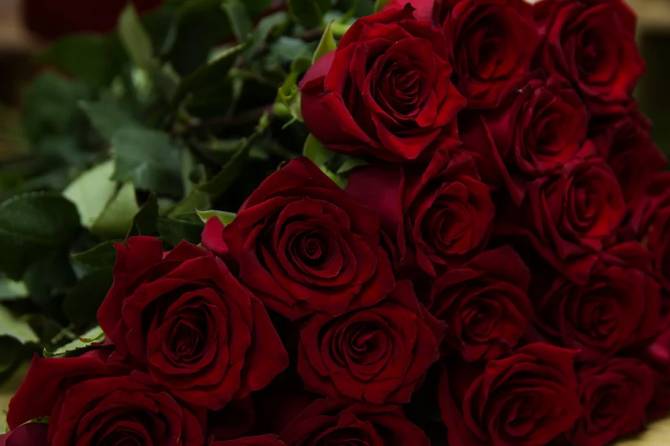 На Брянщине забраковали полмиллиона роз и сотни хризантем
