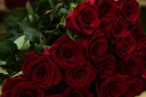 На Брянщине забраковали полмиллиона роз и сотни хризантем