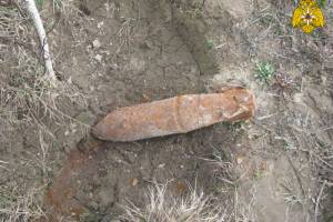 В деревне Дубровка под Брянском нашли 25-килограммовую авиабомбу