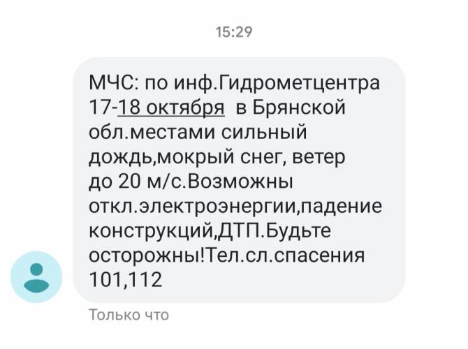 Брянское МЧС предупредило о сильном ветре через SMS