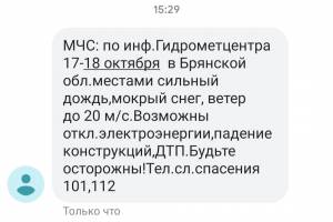 Брянское МЧС предупредило о сильном ветре через SMS