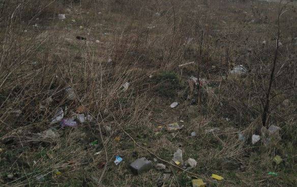 В центре Брянска заметили кучи мусора