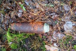 В Злынковском районе нашли минометную мину