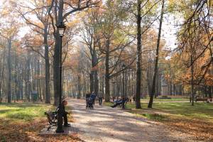 В Пушкинском парке Брянска установят детскую площадку за 2,5 миллиона рублей