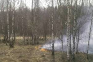 В Жуковском районе несколько часов тушили горящую траву