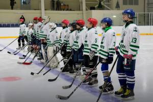 Юные брянские хоккеисты поборются за победу на «Золотой шайбе»