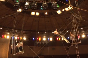 В Брянске представили новое шоу «Цирк зажигает огни»