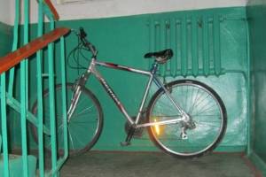 В Брянске у многодетной семьи украли велосипед