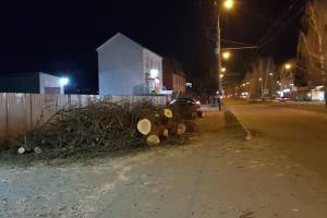 В Брянске деревья на 22 Съезда КПСС спилили из-за новой дороги