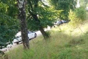 В дятьковском поселке Ивот водитель легковушки протаранил дерево