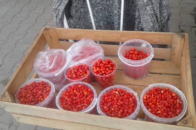 На брянских рынках первую землянику продают по 700 рублей за литр