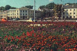 Брянцев восхитило море цветов на набережной в 1984 году