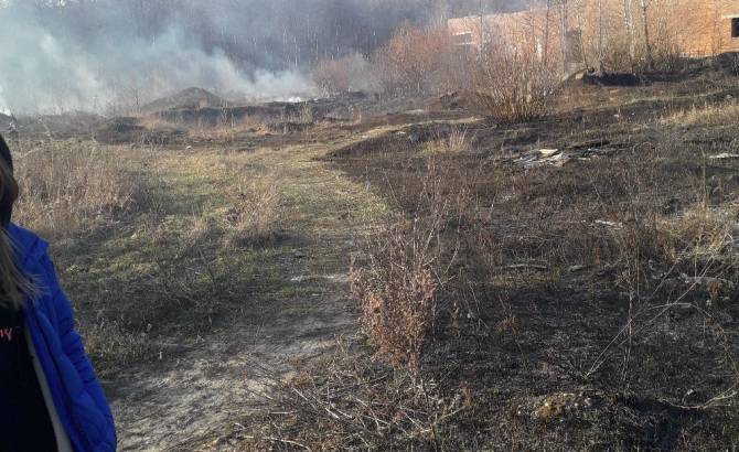 В Брянске неизвестные подожгли сухую траву возле Ново-Советской