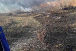 В Брянске неизвестные подожгли сухую траву возле Ново-Советской