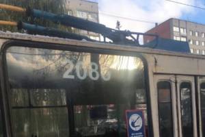 В Брянске могут засудить автора жалобы на водителя троллейбуса