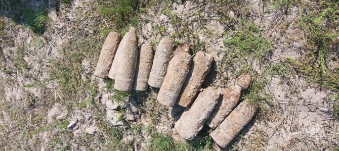 В лесу под Навлей нашли 12 снарядов и бомбу