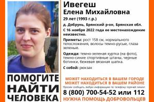 В Брянской области пропала 29-летняя Елена Ивегеш