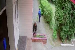 В Карачеве сняли на видео похитителей цветов