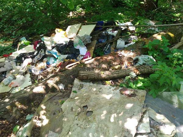 В Навлинском районе родник загадили мусором