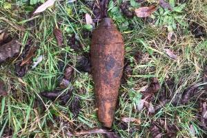 В лесу под Брянском нашли гранату Ф-1 и минометную мину