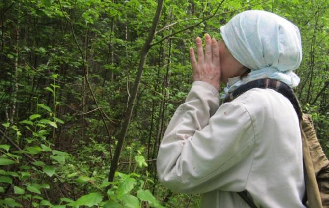 Под Брянском в лесу нашли заблудившуюся в лесу 80-летнюю пенсионерку