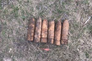 В Брянской области за день нашли 11 военных снарядов