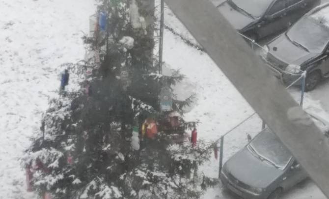 В Брянске в микрорайоне Отрадное новогоднюю елку спрятали за забором