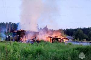 За неделю в Брянской области произошло 36 пожаров