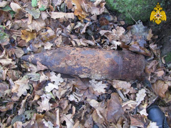 В Унече на Лесной нашли 7 боеприпасов времён войны