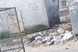 В Брянске обнаружили мусорные завалы на Новом городке