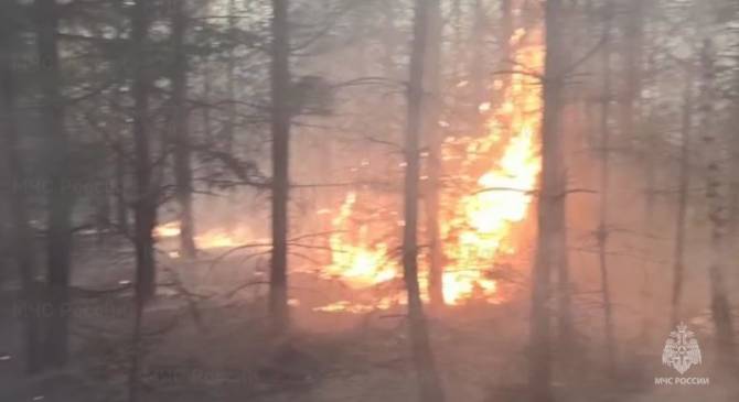 В Дубровском районе потушили лесной пожар
