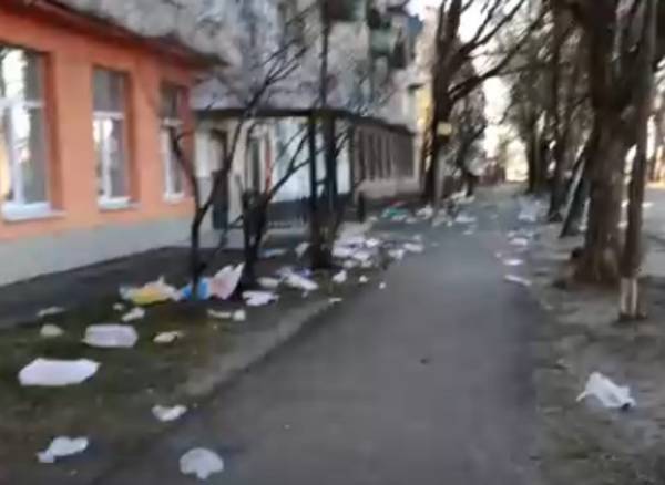 В Брянске на Володарке сняли на видео мусорный апокалипсис возле МФЦ 