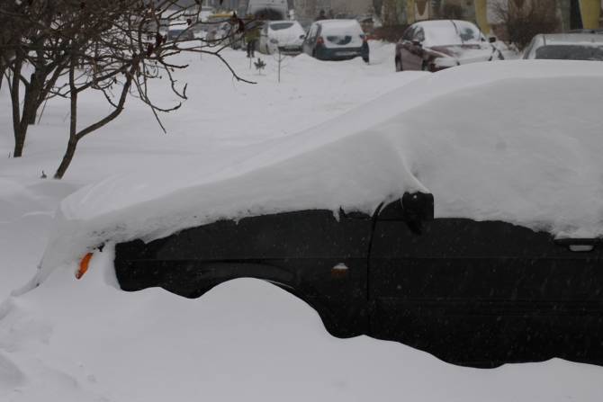 Высота снежного покрова в Брянской области превысила 60 сантиметров