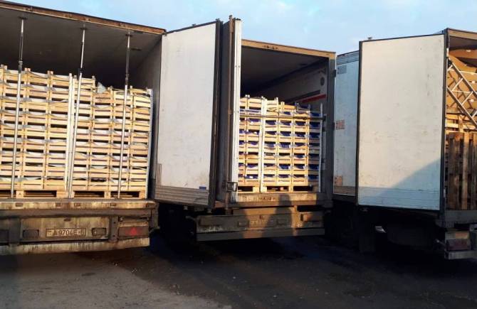 В Брянскую области не пустили 160 тонн фруктов из Белоруссии
